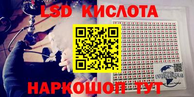 стафф Нальчик