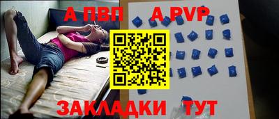 стафф Нальчик