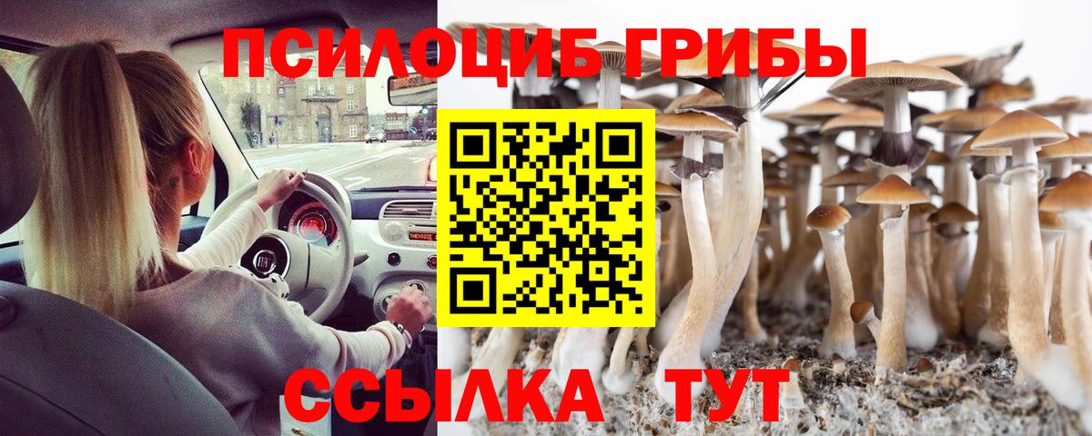Сертолово  Галлюциногенные грибы Psilocybine cubensis  Вход с VPN 